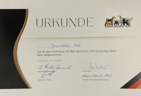 Urkunde mit Unterschriften und Wappen, belegt eine spezielle Auszeichnung.