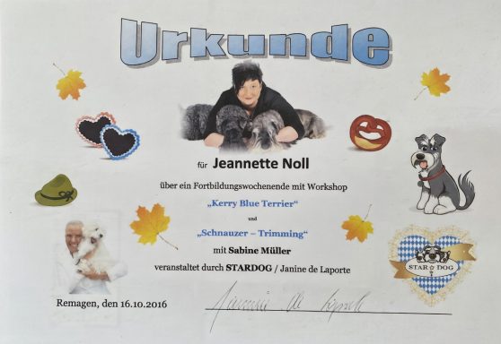 Urkunde mit bunten Illustrationen und Namen, verliehen für eine Tierveranstaltung.