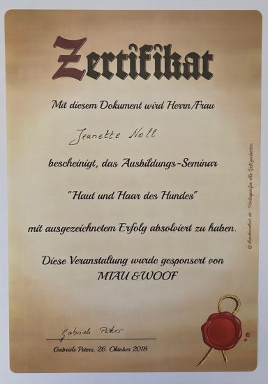 Zertifikat mit Text, Siegel und Unterschrift, für eine Teilnahme oder Leistung.