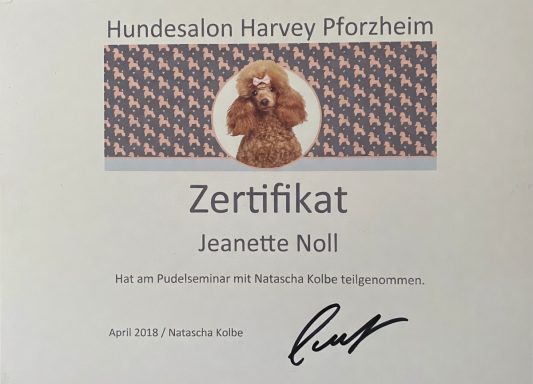 Zertifikat für Jeanette Noll von der Hundesalon Hanay Pforzheim, April 2023.