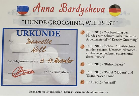 Urkunde von Anna Bardysheva für Hundegrooming-Ausbildung, Datum und Details aufgeführt.