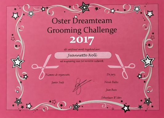 Urkunde für den Oster Dreamteam Grooming Challenge 2017, rosa mit Sternen und Scheren.