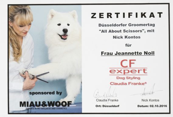 Zertifikat für die Teilnahme an einem Hundetraining, mit einem Hund und einer Trainerin.
