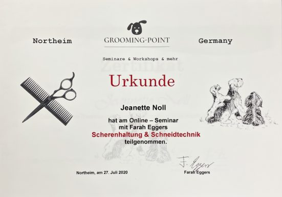 Urkunde für Jacqueline Hall, spezialisiert auf Schönheit und Friseurtechnik.