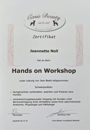 Zertifikat für die Teilnahme an einem praktischen Workshop bei Cosita Beauty.
