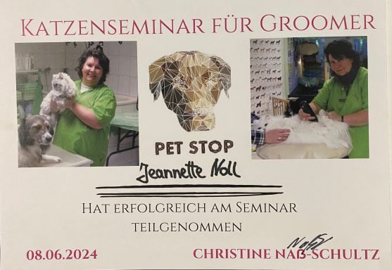 Teilnehmerzertifikat für Katzenseminar mit Bildern von Groomern und Haustieren.