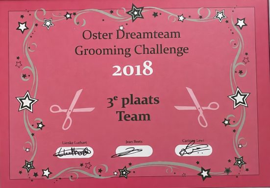 Zertifikat für den 3. Platz im Grooming-Wettbewerb 2018 von Ooster Dreamteam.