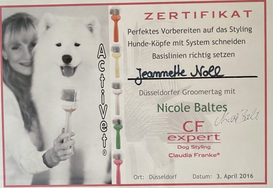 Zertifikat über die Teilnahme an einer Hundeausstellung mit Unterschrift und Datum.