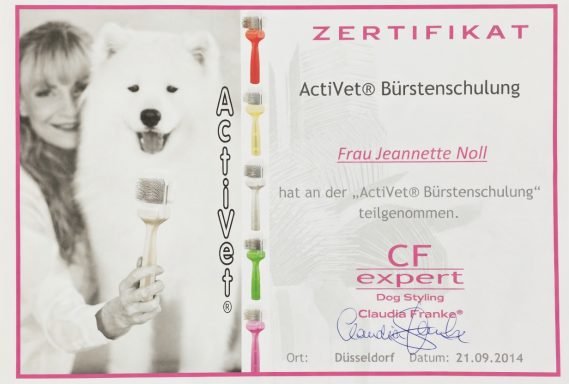 Zertifikat zur aktiven Blankenreinigung mit Hund und Zertifikatsinhaberin.