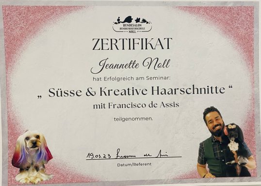 Zertifikat von Jeanette Neill für kreative Haarschnitte mit Hund und Frisör.