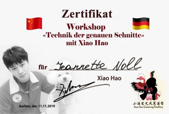 Zertifikat für einen Workshop mit Xiao Hao, inklusive Unterschriften und Ländernamen.