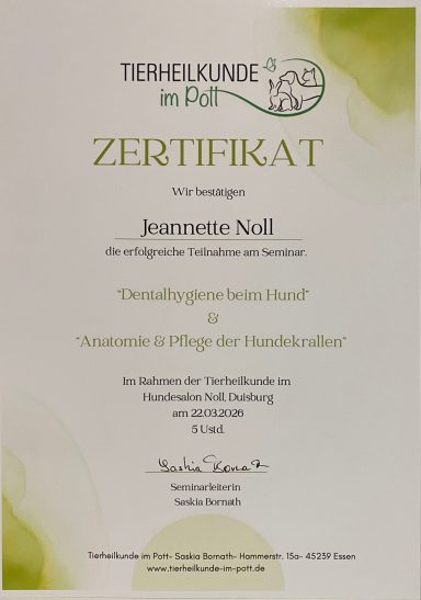 Zertifikat mit dem Titel "Technikguide 4.0" für persönliche Verantwortung im Gesundheitswesen.