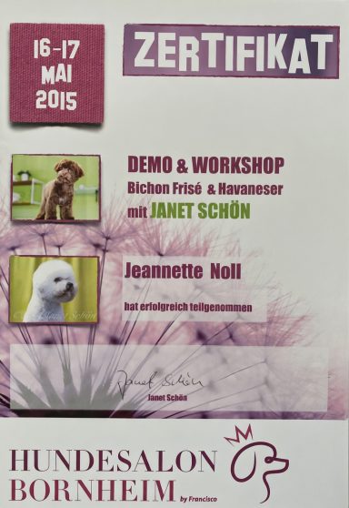 Zertifikat für einen Workshop mit Hund und Papagei im Mai 2015, Hundesalon Bornheim.