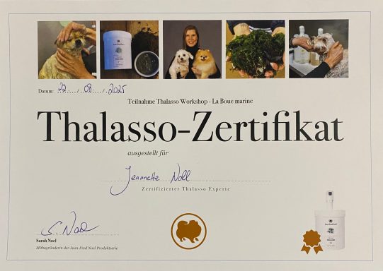 Thalasso-Zertifikat mit Unterschriften und Bildern von Meeresprodukten und Behandlungen.