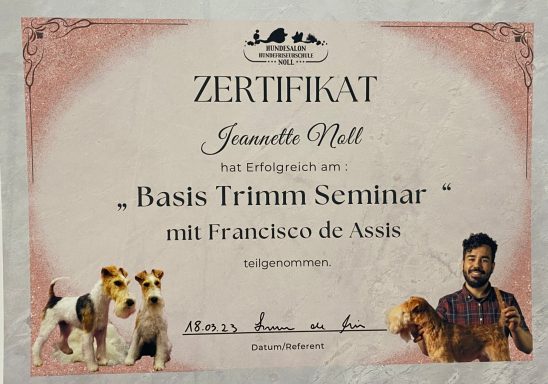 Zertifikat für Jana Nill über das Basis Trimmseminar mit Hundebildern.