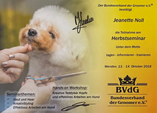 Zertifikat für Junghundeprüferin, Ausstellung mit einem weißen Pudel im Vordergrund.