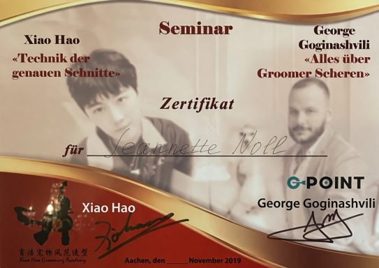 Zertifikat für Seminarteilnahme, unterschrieben von den Referenten.