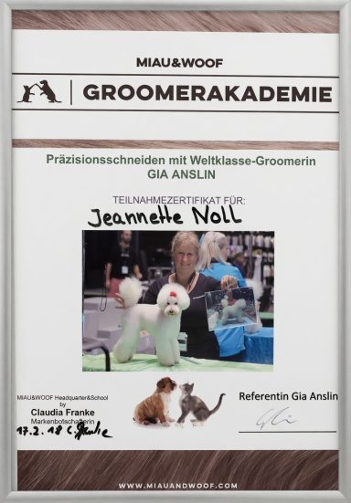 Zertifikat der Groomerakademie mit Foto von Tieren und dem Namen Jeannine Noll.
