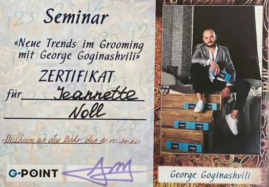 Zertifikat für Seminar mit George Bignausch auf Holzstufen, dekorativer Hintergrund.