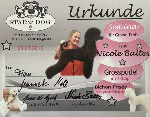 Urkunde für Seminar mit Nicole Bates, Großpudel und Bichon Frisé, unterschrieben.