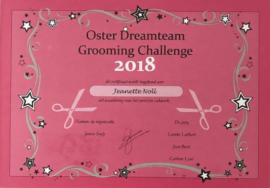 Zertifikat für den Oster Dreamteam Grooming Challenge 2018, rosa Hintergrund mit Sternen.