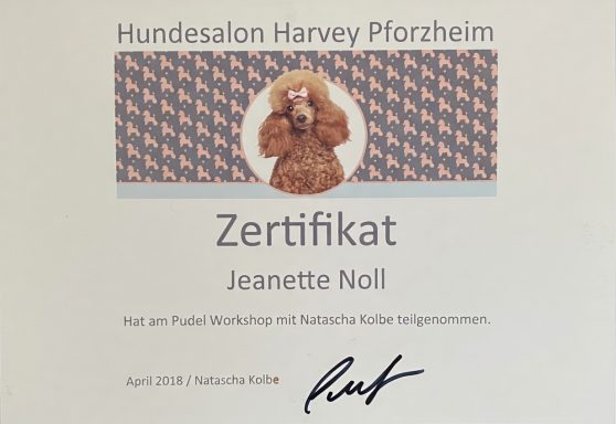 Zertifikat für Janette Naill vom Hundesalon Harvey Pfalzheim, mit Hundegrafik.