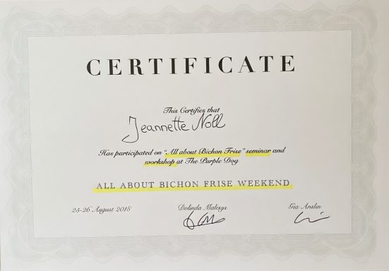 Zertifikat mit dem Namen und Unterschrift des Ausstellers, datiert auf den 25. August 2017.