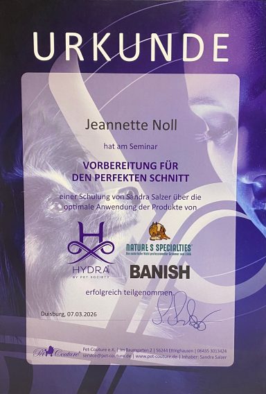 Urkunde für Jeannette Noll zur Auszeichnung für perfekte Schnitte.